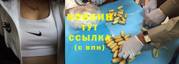 ПСИЛОЦИБИНОВЫЕ ГРИБЫ Новозыбков