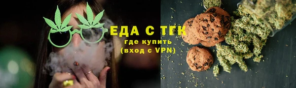 ПСИЛОЦИБИНОВЫЕ ГРИБЫ Новозыбков