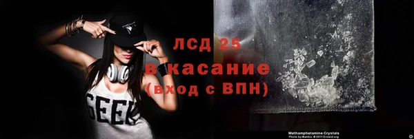 ПСИЛОЦИБИНОВЫЕ ГРИБЫ Новозыбков