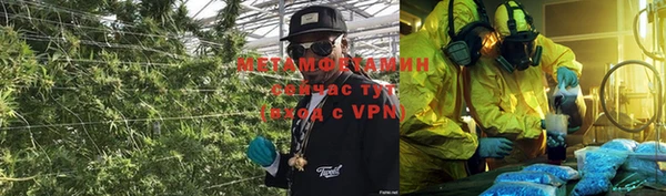 ПСИЛОЦИБИНОВЫЕ ГРИБЫ Новозыбков