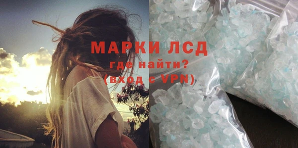 ПСИЛОЦИБИНОВЫЕ ГРИБЫ Новозыбков
