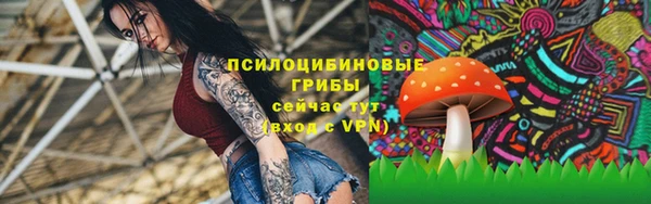 тгк Новокубанск