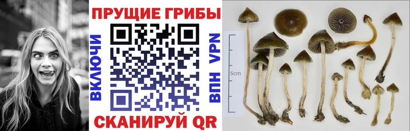 Галлюциногенные грибы ЛСД Нижняя Салда